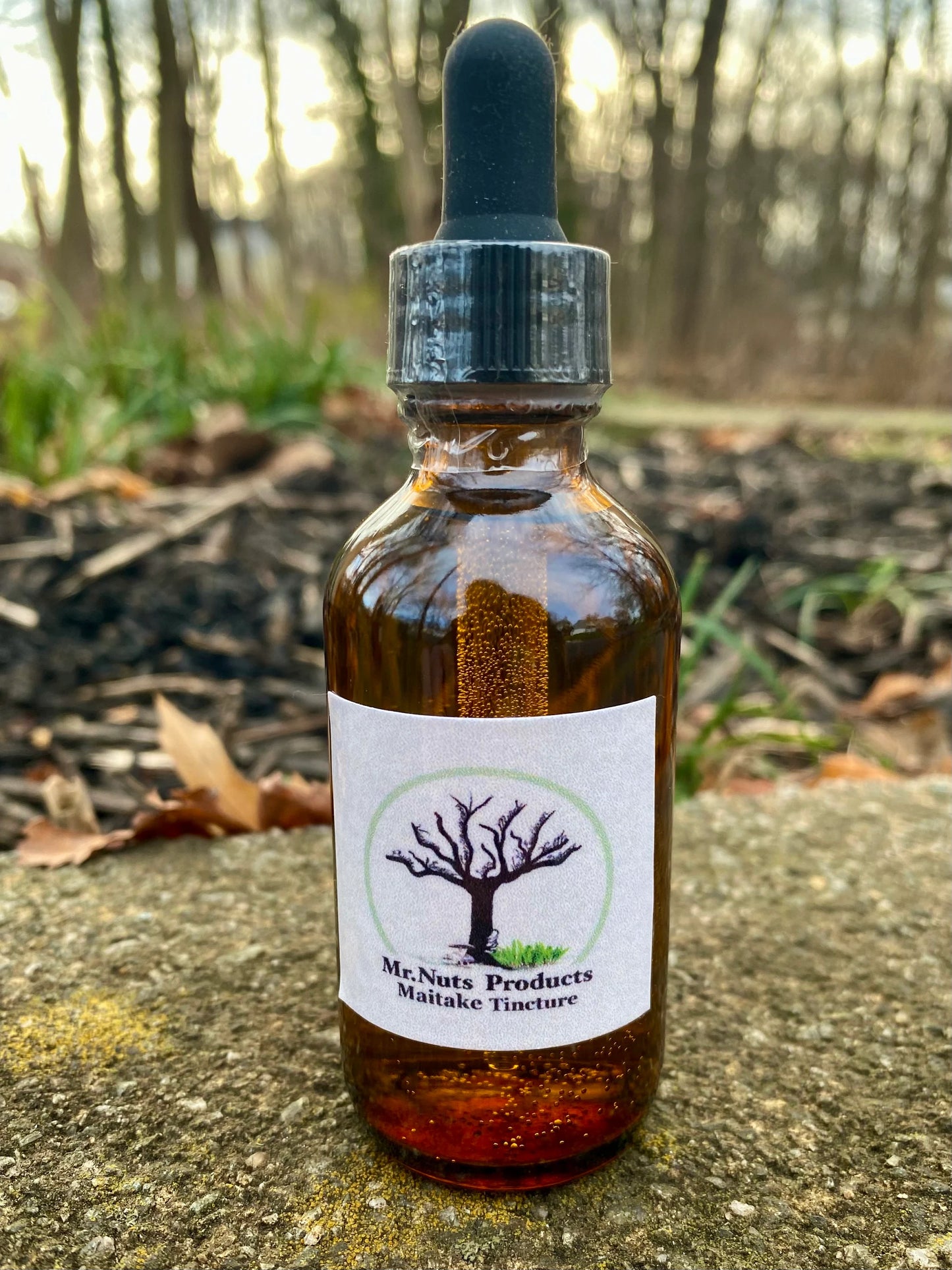 Wild Harvested Maitake Tincture (Grifola frondosa)