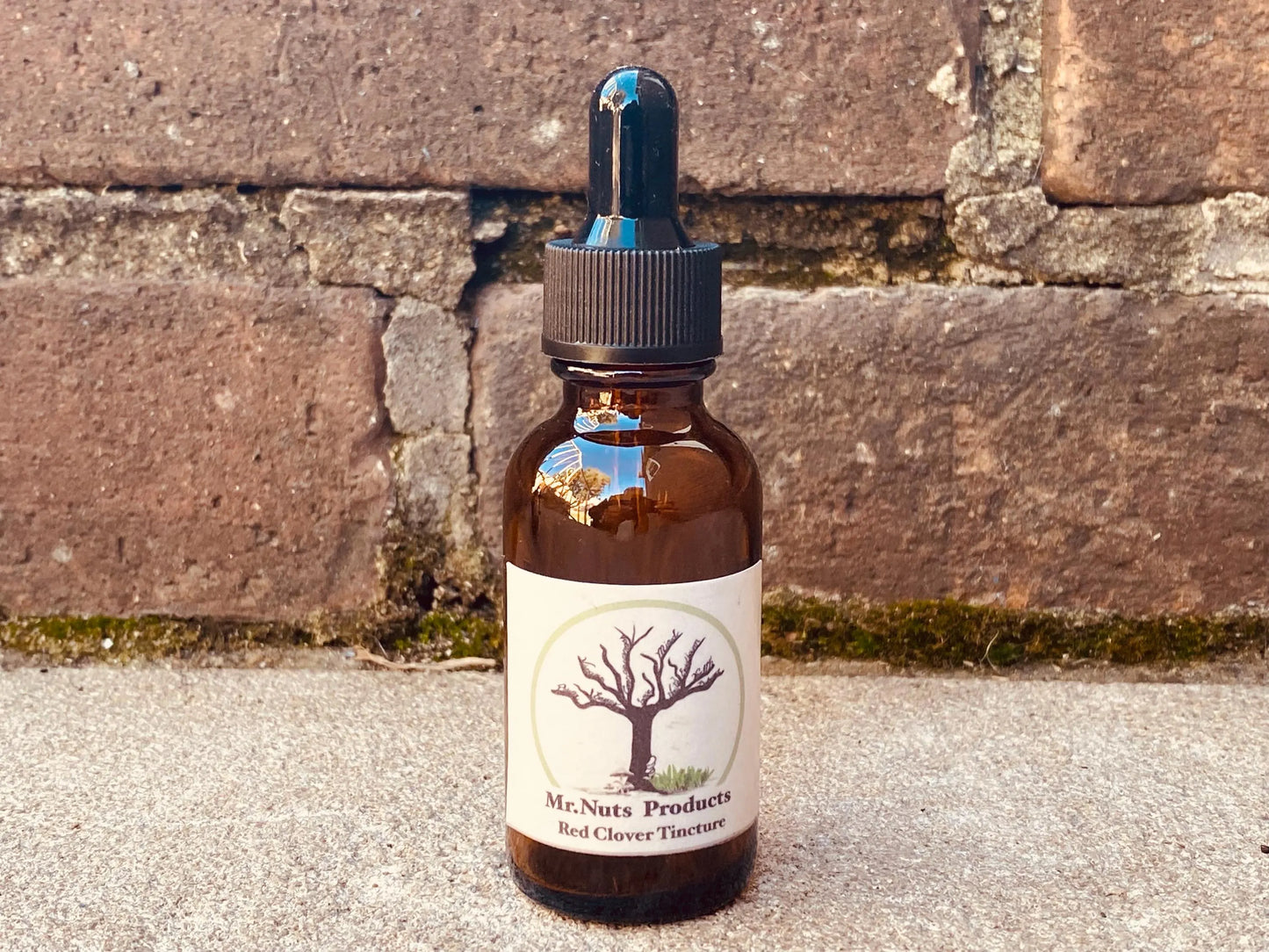 Wild Harvested Red Clover Tincture (Trifolium pratense)