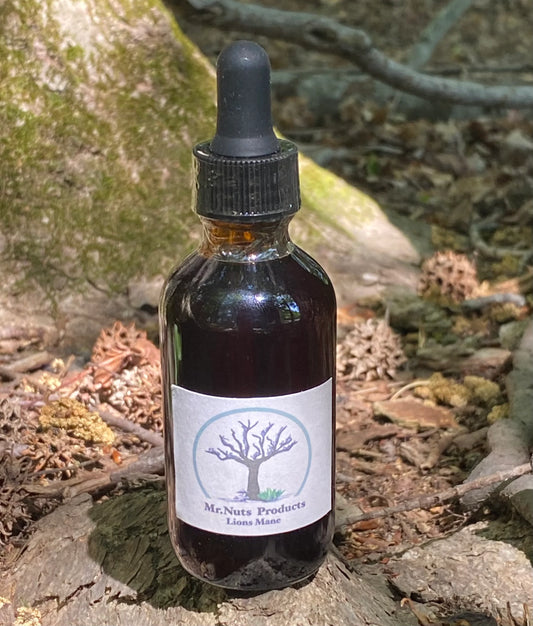 Wild Harvested Lion’s Mane Tincture (Hericium erinaceus)