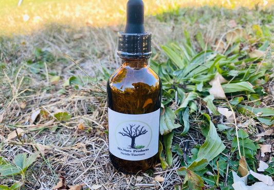 Wild Harvested Nettle Tincture (Urtica dioica)