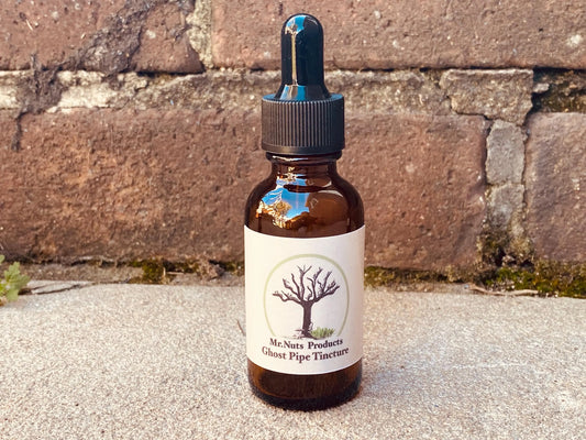 Wild Harvested Red Ghost Pipe Tincture (Monotropa uniflora with reddish hue)